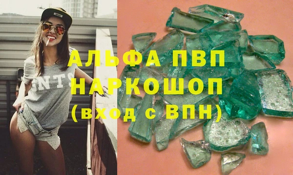 стаф Арсеньев