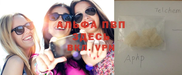стаф Арсеньев