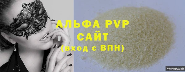 стаф Арсеньев