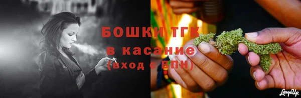 стаф Арсеньев