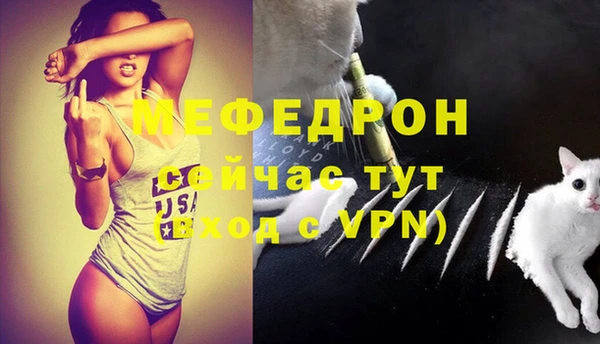 стаф Арсеньев