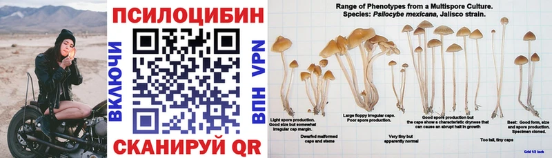 Галлюциногенные грибы GOLDEN TEACHER  где купить наркотик  блэк спрут как войти  Нурлат 